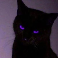 vicky (@weivicky11) 's Twitter Profile