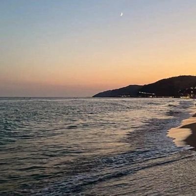 Paulita2027's profile picture. 🐺🧲🐣🦁             

🇪🇨/🇪🇦