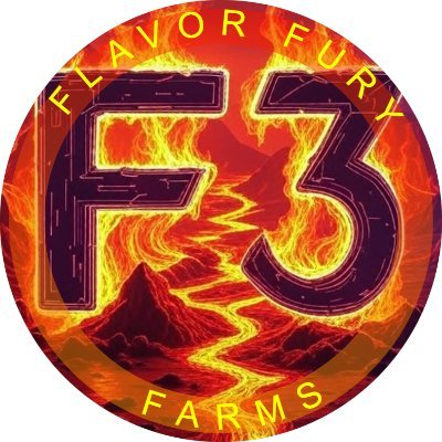 FlavorFuryFarms's profile picture. We grow many vegetables but concentrate on super hot peppers. 🔥🌶️Gardener, Grower, USA, USMC Veteran Business Owner. @CarlSian and @LucretiaXena
🇺🇸🦅🌎⚓