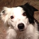 Chris Motta - @ChrisMotta1 - Twitter