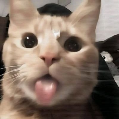 Let's make your dream a living reality
|21 and single |i love cats❤️
|Artist in day |Art lover by night
| COMMISSIONS OPEN