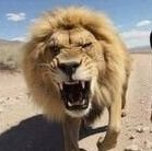 #من_ایرانی_نیستم_من_پارسی_هستم
خواهان پادشاهی
#کینگ_محمد #حسینی_کبیر
#شاهزاده_اصیل_پارسی
