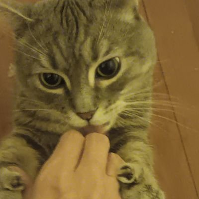 Skyuio69's profile picture. 