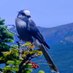FreedomEagle (@stevenj22950323) Twitter profile photo FreedomEagle (@stevenj22950323) Twitter profile photo