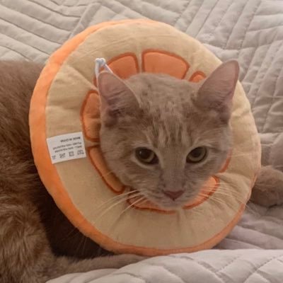 bentaylor_24's profile picture. ain’t no time to hate