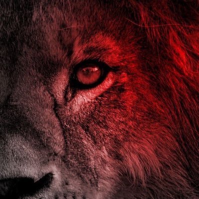 sefkgt's profile picture. 