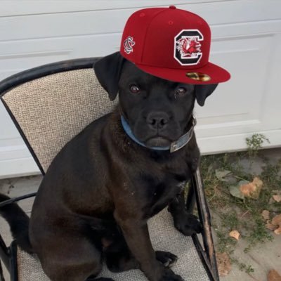 Gamecock enthusiast | SC Alum | Miami Heat enjoyer | Lanorris lover | Muschamp Survivor | Spreader of positivity