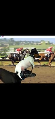 Denise3101's profile picture. 