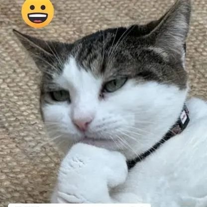 ThuriTony's profile picture. principled