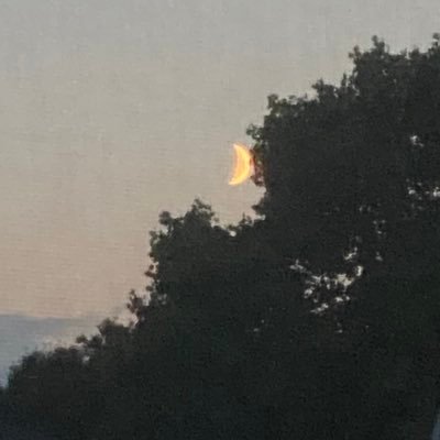 MinusNightWalks's profile picture. Dont really post stuff