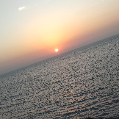 roy554595's profile picture. 