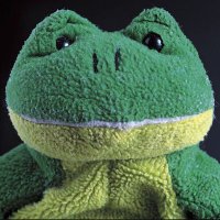 paw (@lofrotomy) 's Twitter Profile Photo paw (@lofrotomy) 's Twitter Profile Photo