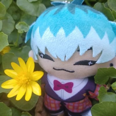 𐂂 Mika🌱さんのプロフィール画像
