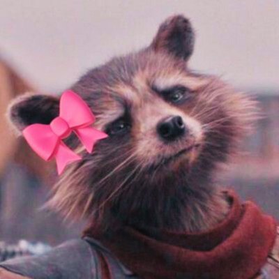 Aloha 🩷🎀さんのプロフィール画像