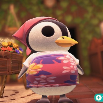 Melibirdlu's profile picture. 🌷🩷🦜🌟