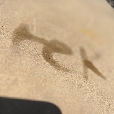 teknoninja_'s profile picture. 