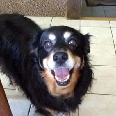 JTuttle29771764's profile picture. Equality & care count. Vegan (since 2012), vegetarian (1985) until I knew better, atheist before I knew there was a word for it after I read the buybull at 6.