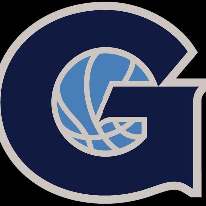 HoyaOptimist33's profile picture. I want one thing: a return to glory💙🩶🐾