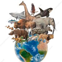 JKB32@AnimalLover (@jkb32animallov1) 's Twitter Profile Photo JKB32@AnimalLover (@jkb32animallov1) 's Twitter Profile Photo