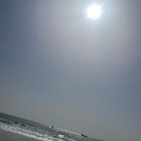 Ansu jobe (@ansu_jobe76835) 's Twitter Profile