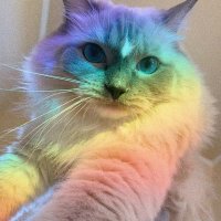 Pet Sim 99 Giveaways (@ps99_gws) 's Twitter Profile