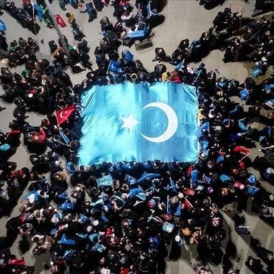Dağılın ey millətçiliyi irqçiliklə qarışdıran axmaqlar.