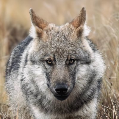 mrphoto's profile picture. 