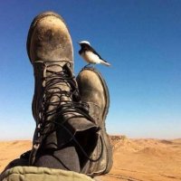 Witold Pilecki 4859 (@hiramusta4) 's Twitter Profile Photo Witold Pilecki 4859 (@hiramusta4) 's Twitter Profile Photo