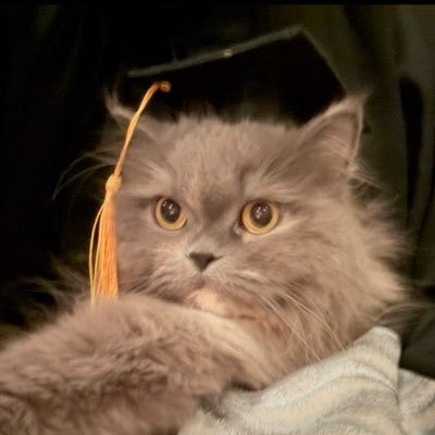 roaall_'s profile picture. PT 🎓🩺 | 🐾 ☕️ 🍵 🎧 🏸 📖