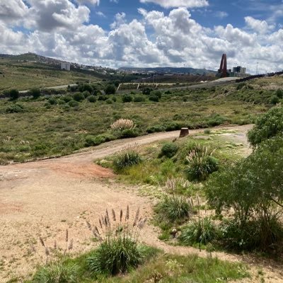 492ZM's profile picture. ¿Que pasa en Zacatecas?