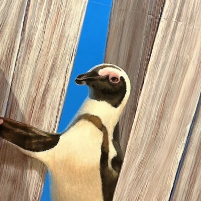 キッティング案件一年目のSES 毎日勉強チャレンジ継続中 | 資格 LPIC Lv2 Azure 104 | OSS-DB Silver | 経験がつみたくて転職迷い中ーーー