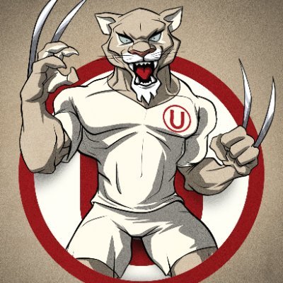 fernandorpf's profile picture. ⭐️29