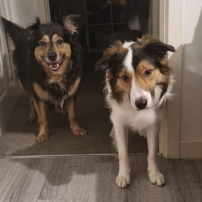 LeolLe68615's profile picture. 