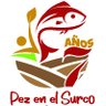 PezSurco's profile picture. PEZ en el SURCO: Es un programa de 30 minutos, realizado de manera conjunta entre Almácigo Ediciones y SURCO AC.