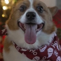 Skoot (@skootada) 's Twitter Profile Photo