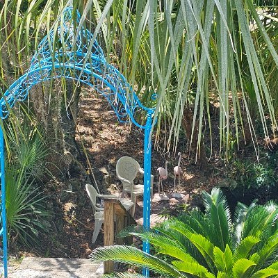 jfhill1221's profile picture. 