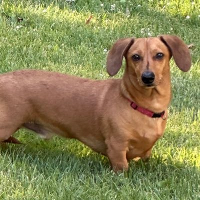 kennycomm's profile picture. 