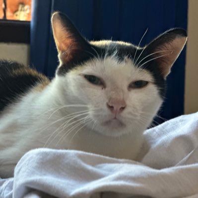 Masbro_tot's profile picture. 