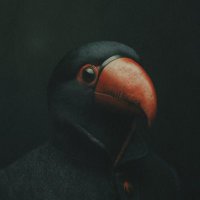 mr op. (@sergiohat4) Twitter profile photo