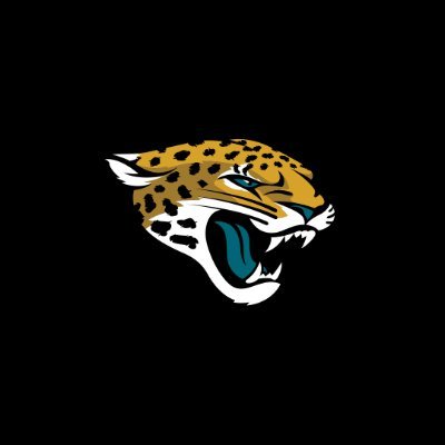 Jacksonville Jaguars Profile