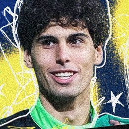 📁 acervo oficial do piloto brasileiro gabriel bortoleto