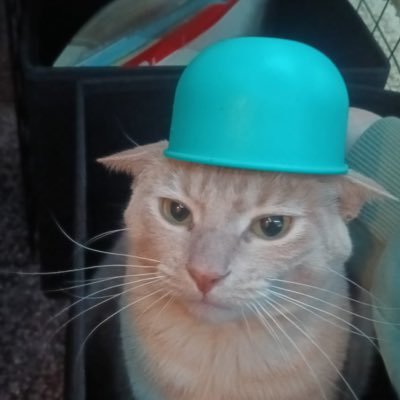 SrChamplank's profile picture. hasta el pito