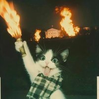 H (@habrud48) 's Twitter Profile