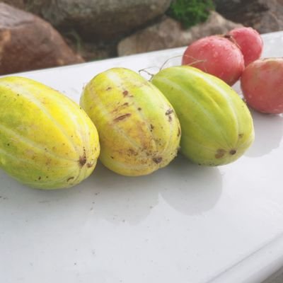 GumjungGodusim's profile picture. 