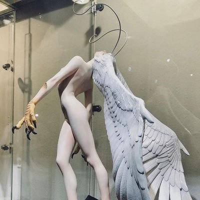 divinaninfae's profile picture. do Outro Mundo ! . •. °.  ✷｡⁠*ﾟ⁠+