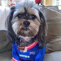 Jim Stack (@jimmystack26) 's Twitter Profile