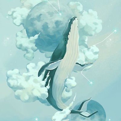 📍吉隆坡 老子爱拍照骗 168 85+|喜欢抓角度|照片是照骗 |ISFP|日常推|需要人陪 | 不约炮|高敏人士 |易燃易爆|小心谨慎点选聊天|
