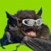 morcega hispanohablante hematófaga 🦇 (@mariamulambita) Twitter profile photo morcega hispanohablante hematófaga 🦇 (@mariamulambita) Twitter profile photo