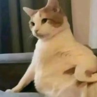 小卖卖 (@ngnmaaaaa1) 's Twitter Profile