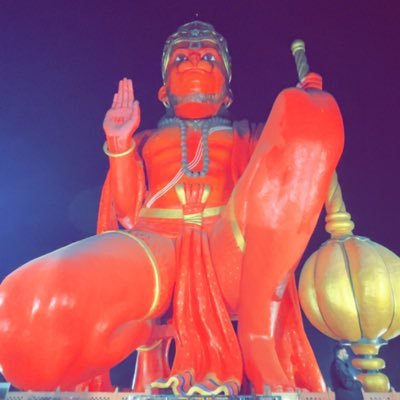 sunny86851's profile picture. 